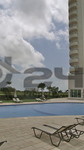 Pool / Alberca